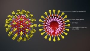 Coronavirus in India